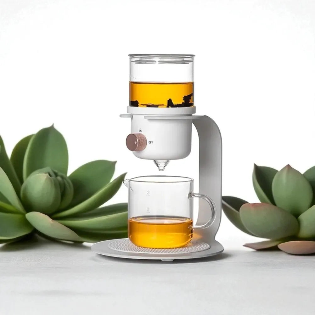 Théière en verre avec filtre pour infusion - 300ML