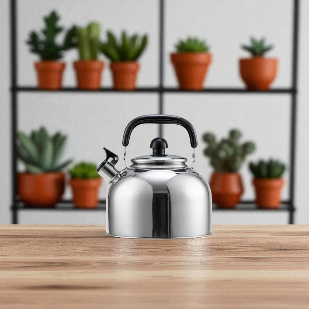 Théière sifflante en acier inoxydable 3L – Pour thé et cuisson au gaz/induction