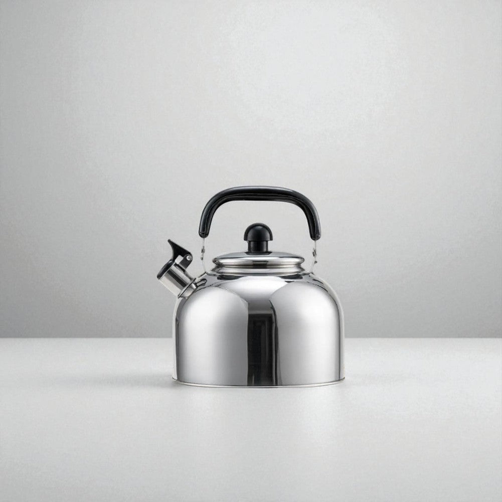 Théière sifflante en acier inoxydable 3L – Pour thé et cuisson au gaz/induction